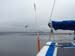 001 Slippin in between the kelp beds
