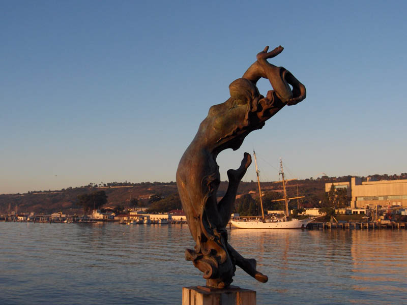 20 A Beautiful San Diego Mermaid