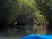 Mangrove Trip 019
