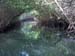 Mangrove Trip 029