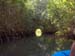 Mangrove Trip 033