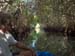 Mangrove Trip 049
