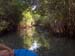 Mangrove Trip 051