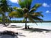 Kauehi beach  by Anne Cline