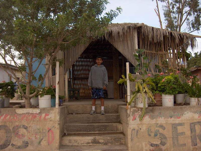 Turtle Town - Funky Garden Gazeebo