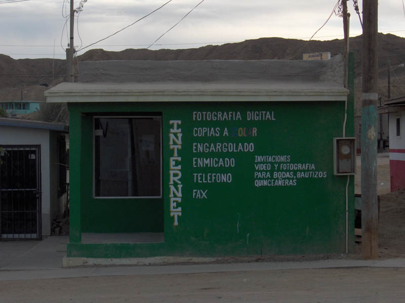 Turtle Town Internet Shop