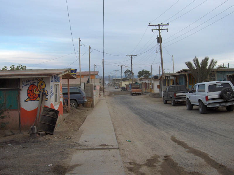 Turtle Town