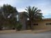 Turtle Town Hospital