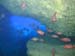A Cave Dive in Nuie - by Cool Bananas (2)