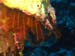 A Cave Dive in Nuie - by Cool Bananas (5)