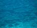 Moorea Underwater delights - by Cool Bananas (11)