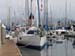 8 Guest Dock - Dutch Touch