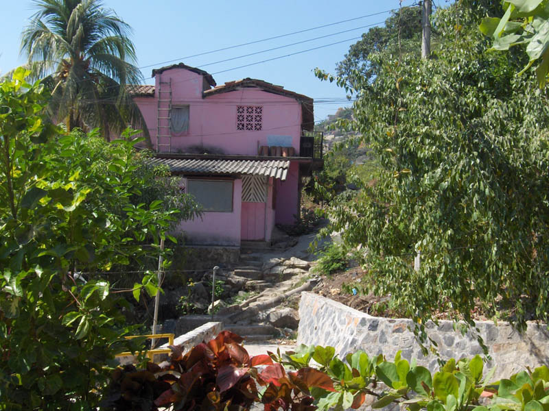A Pink House