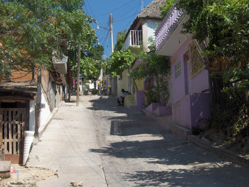 Calle - street