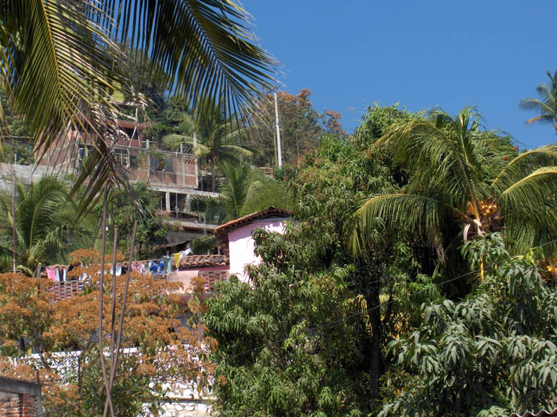 Delightful Homes and Fauna
