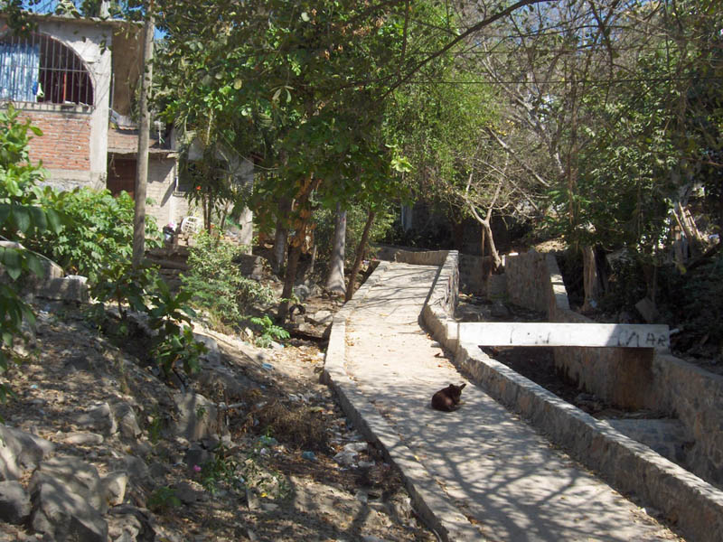 Walk Way