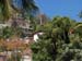 Delightful Homes and Fauna