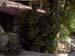 Home Garden