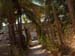 Path to the top