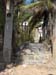 Stair Way to the top of the town