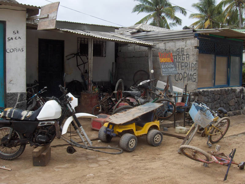 Would you rent a bike at this shop