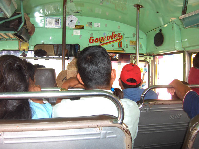 All Drivers are Proud of thier buses