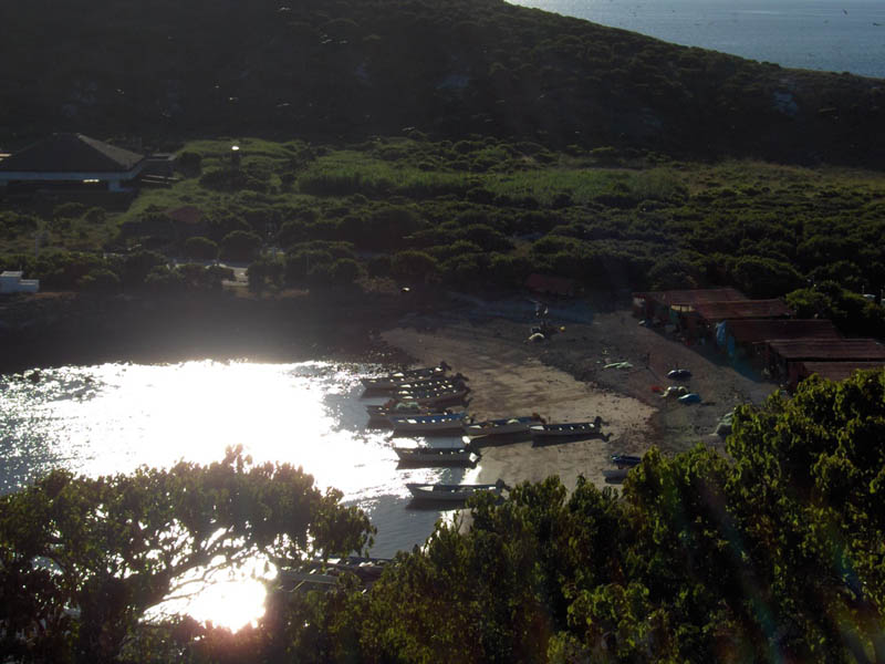 Cliff top Pan Pangas