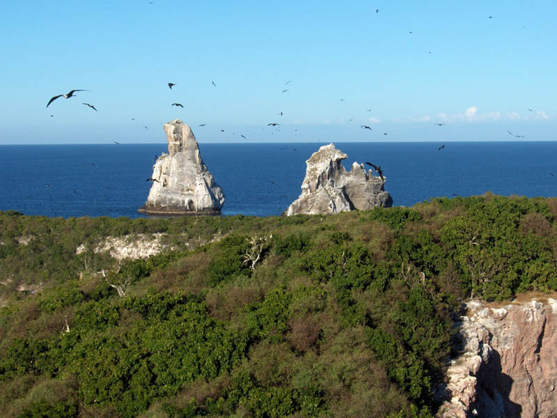Cliff top Pan Rocks