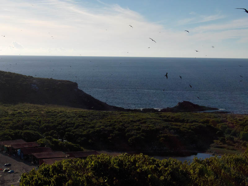 Cliff top Pan east