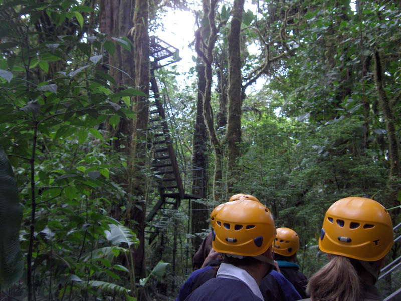 We go up there!