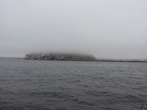 005 Rock at Morro Bay under the fog