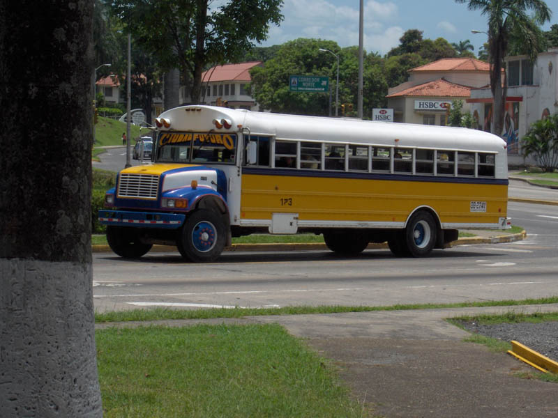 Rarther Plain Hot Rod Bus