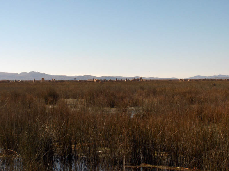 City in the Reeds