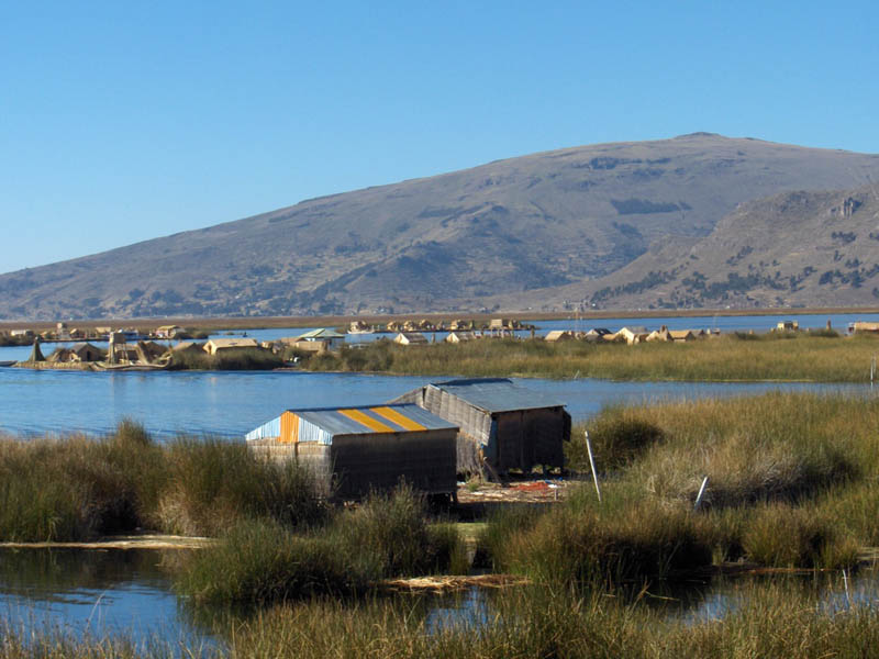 Other Floating Reed Islands