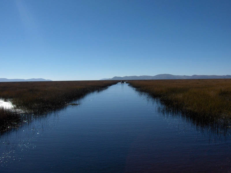 Passage through the reeds
