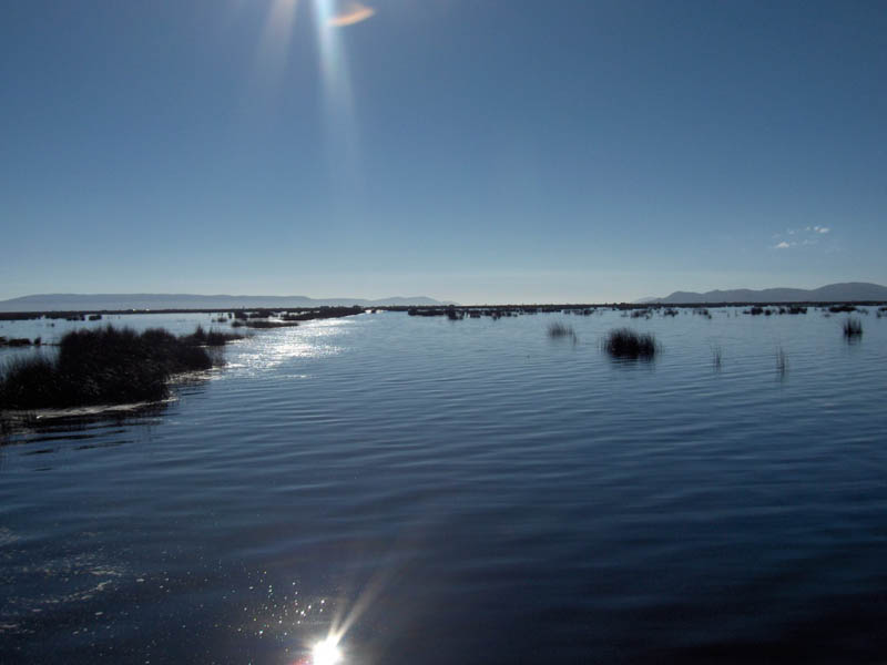 Reed Lake in the morning sun
