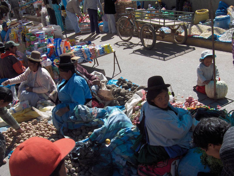 The Inca's had 50 different varieties of Potatoes