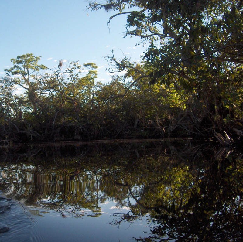 From the Water Surface