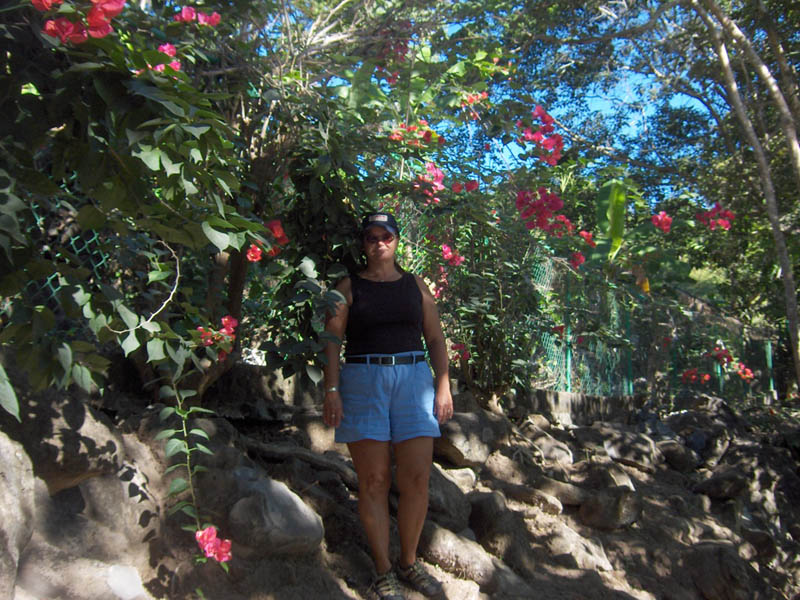 Girl in the Boganvalias