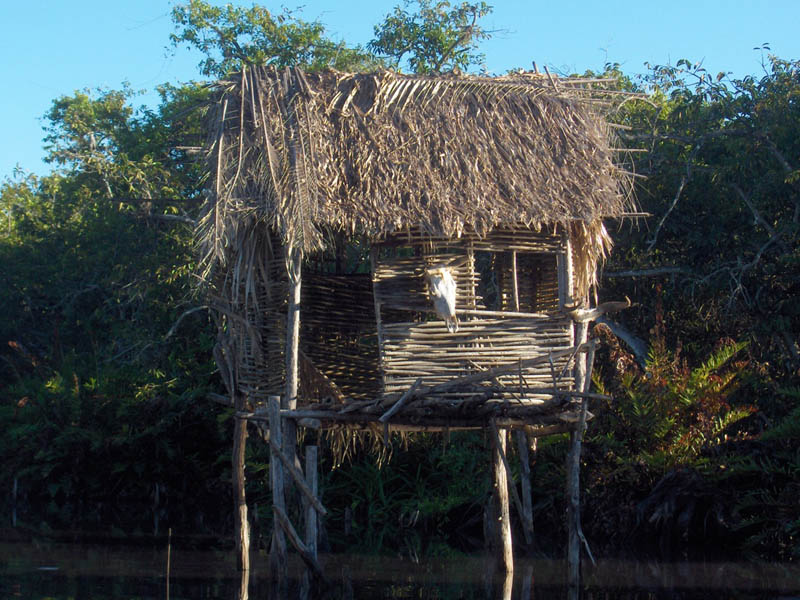Huts in the Jungle