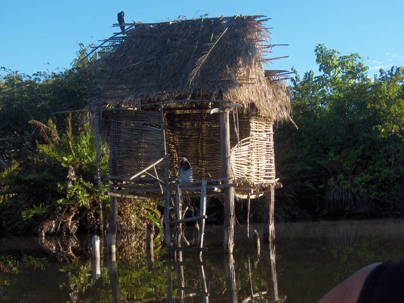 Mary in the Hut