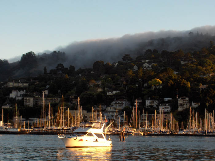 470 Watching the Fog Roll in
