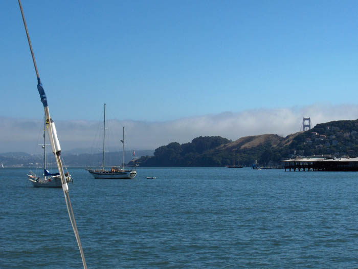 310 Sausalito looking South West
