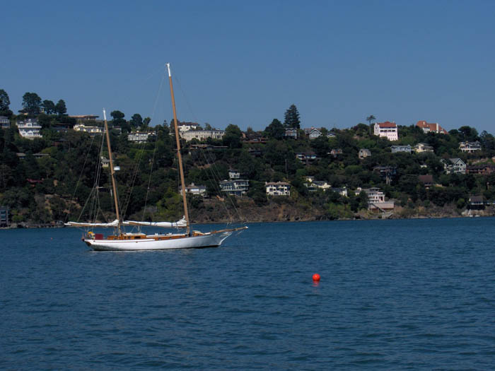 340 Sausalito looking South East