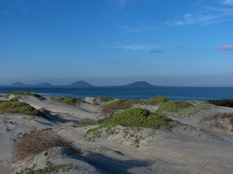 San Quintin 180 Pan - North East