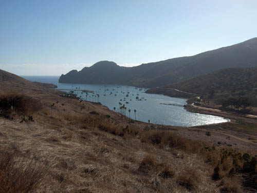 Catalina Harbor