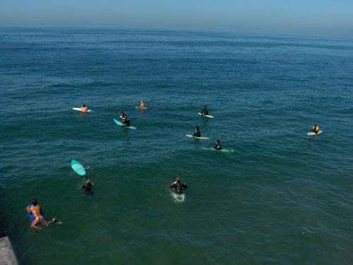 Venice Pier Surfers