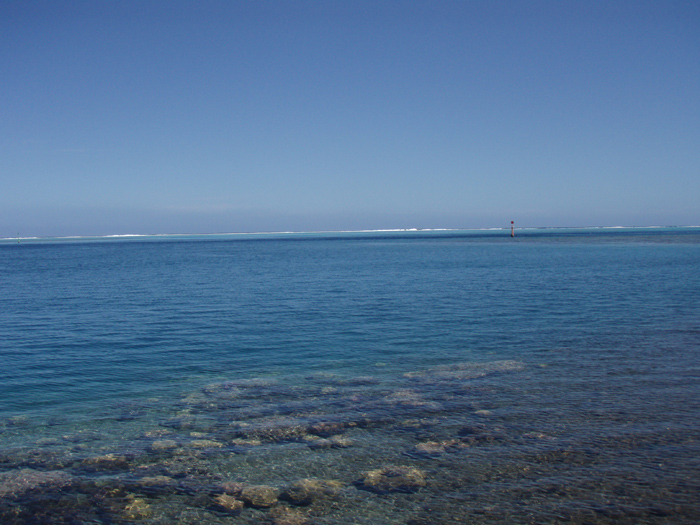 Looking over the reef