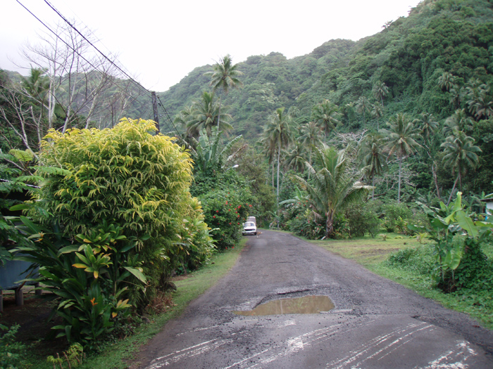 Road to the water fall