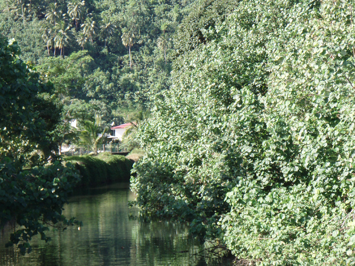 Stream